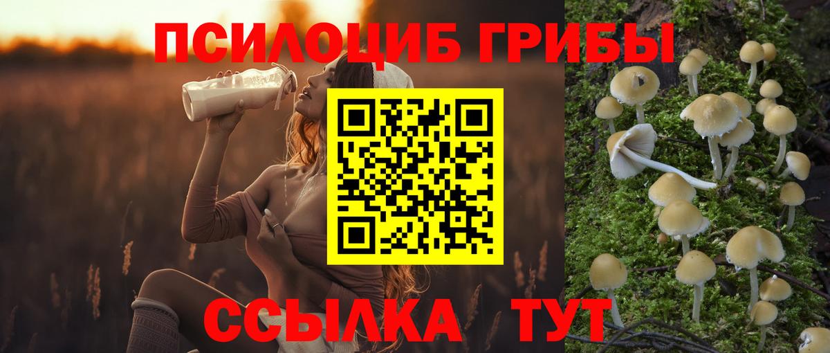 Галлюциногенные грибы MAGIC MUSHROOMS Новозыбков