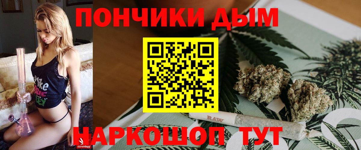 Канабис Bruce Banner  МАРИХУАНА семена  Новозыбков  МАРИХУАНА Amnesia  Канабис SATIVA & INDICA  Вход с VPN 